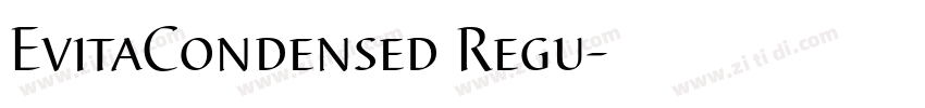 EvitaCondensed Regu字体转换